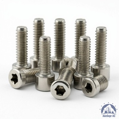 Винт нержавеющий М2,5х14 мм А4 DIN 912 купить в Таразе