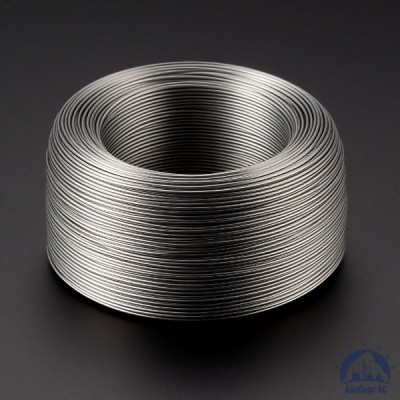 Проволока титановая 1 мм СПТ-2СВ  купить в Таразе