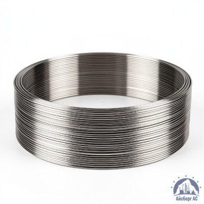 Проволока нержавеющая сварочная 1,2 мм ASF-51  купить в Таразе