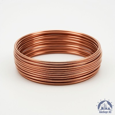 Проволока бронзовая 0.25 мм БрБ2 ГОСТ 15834-77 купить в Таразе