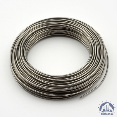 Проволока 0,03-Х20Н80-ВИ ГОСТ 8803-89 купить в Таразе