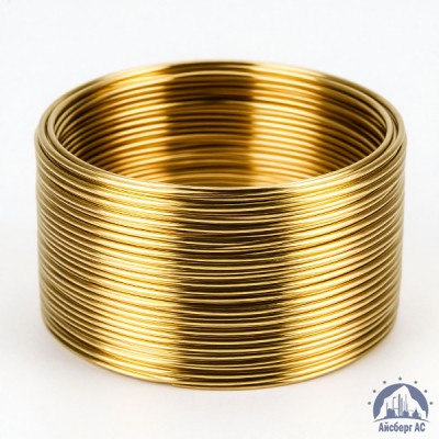 Проволока 1Л ГОСТ 26366-84 купить в Таразе