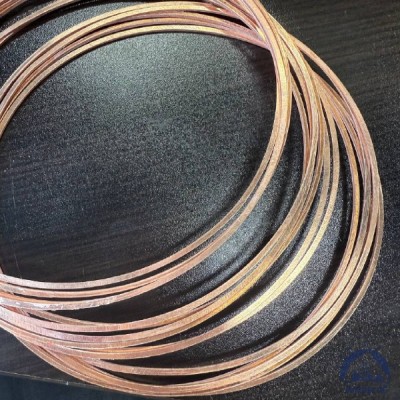 Прокладка медная уплотнительная 14х18-II s=1,5 ГОСТ 19752-84 купить в Таразе