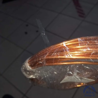 Труба М1 10х0,35 ТУ 48-0814-104-99 купить в Таразе