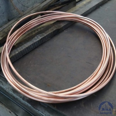 Труба 9,52х0,5 М1 ТУ 184450-106-038-97 купить в Таразе