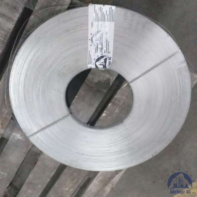 Штрипс холоднокатаный 1х137 мм МТ02 купить в Таразе