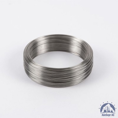 Проволока вязальная 0,3 мм ТН-С ГОСТ 3282-74 купить в Таразе