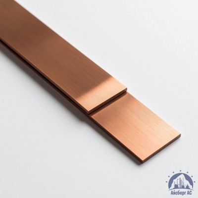 Полоса медная 100х10 мм М1Т ГОСТ 434-78 купить в Таразе