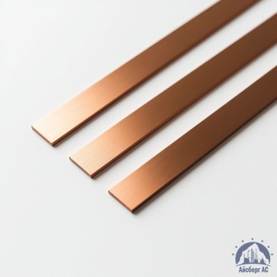 Полоса медная 100х10 мм ШМТ ГОСТ 434-78 купить в Таразе