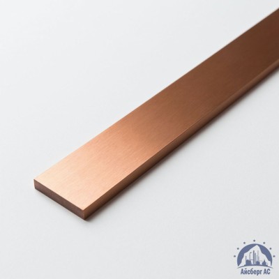 Полоса медная 100х12 мм М1М ГОСТ 434-78 купить в Таразе