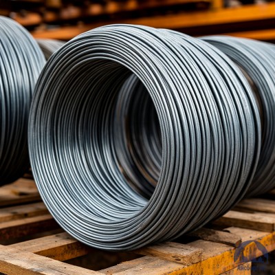 Проволока   1-П-1-30 ГОСТ 5663-79 купить в Таразе