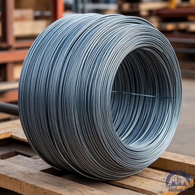 Проволока вольфрамовая 12 мкм ВМ купить в Таразе