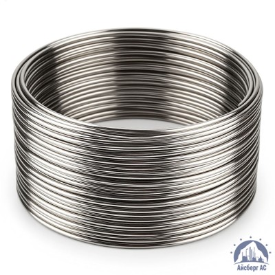 Проволока круглая 0,2-П-1-Л-70Г ГОСТ 3875-83 купить в Таразе