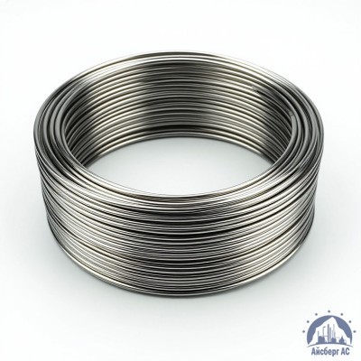 Проволока круглая 0,2-П-2-55 ГОСТ 3875-83 купить в Таразе