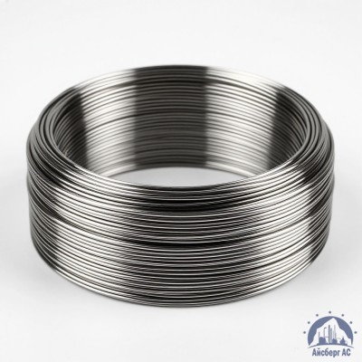 Проволока круглая 0,2-П-2-70 ГОСТ 3875-83 купить в Таразе