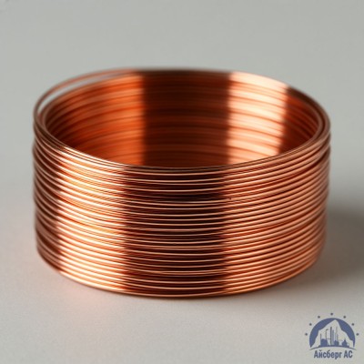 Проволока сварочная ДКРХМ 4 БТ МСр1 ГОСТ 16130-90 купить в Таразе