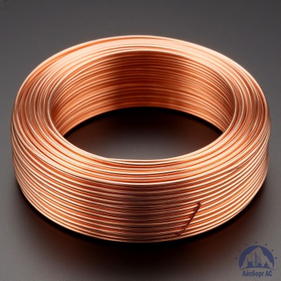 Проволока сварочная ДКРХМ 5 БТ М1р ГОСТ 16130-90 купить в Таразе