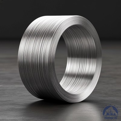 Алюминиевая сварочная проволока 1,8 мм СвАМГ6 купить в Таразе