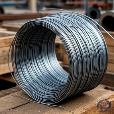 Проволока   1-1-25 ГОСТ 5663-79 купить в Таразе