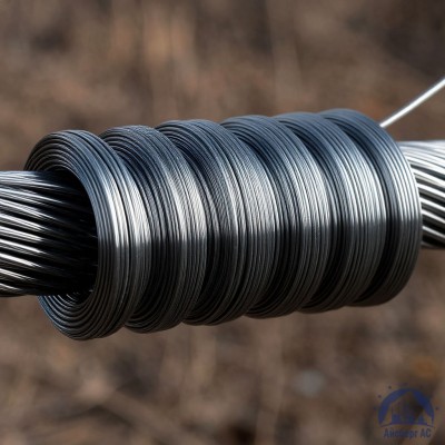 Проволока   1-2-08пс ГОСТ 5663-79 купить в Таразе