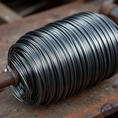 Проволока   1-2-25 ГОСТ 5663-79 купить в Таразе