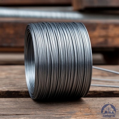 Проволока   1-2-30 ГОСТ 5663-79 купить в Таразе