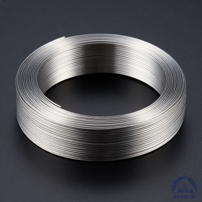 Проволока титановая 0,8 мм ВТ20-2СВ ГОСТ 27265-87 купить в Таразе