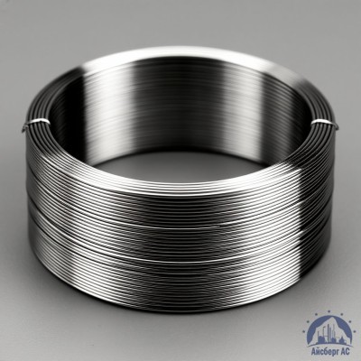 Проволока титановая 2 мм ВТ1-0 купить в Таразе