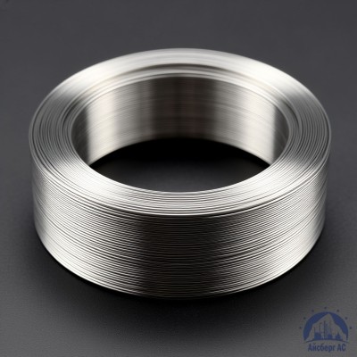 Проволока титановая 2 мм ВТ2СВ ГОСТ 27265-87 купить в Таразе