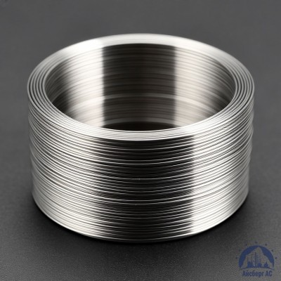 Проволока титановая 3 мм ВТ2СВ ГОСТ 27265-87 купить в Таразе