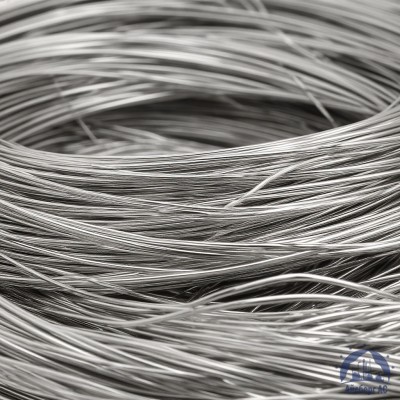 Проволока серебряная СрМ 925 ТУ 48-1-350-85 купить в Таразе