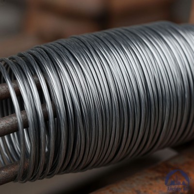 Проволока свинцовая 10 мм С2 купить в Таразе