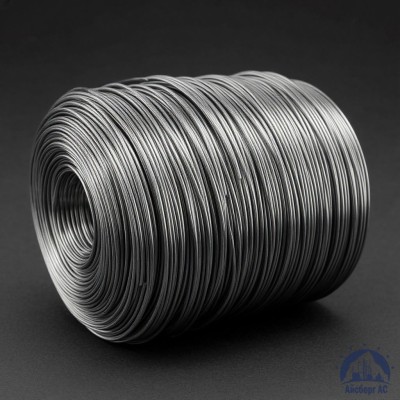 Проволока свинцовая 2 мм С1 купить в Таразе