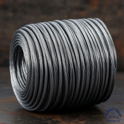 Проволока свинцовая 2 мм С2С купить в Таразе