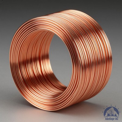 Проволока сварочная ДКРХМ 2 БТ М1 ГОСТ 16130-90 купить в Таразе