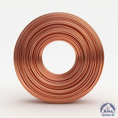 Проволока сварочная ДКРХМ 2 БТ МНЖКТ5-1-0,2-0,2 ГОСТ 16130-90 купить в Таразе