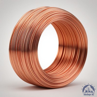 Проволока сварочная ДКРХМ 2,5 БТ МНЖКТ5-1-0,2-0,2 ГОСТ 16130-90 купить в Таразе