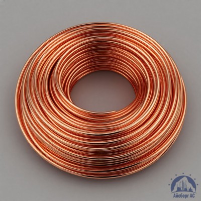 Проволока сварочная ДКРХМ 2,5 БТ МСр1 ГОСТ 16130-90 купить в Таразе