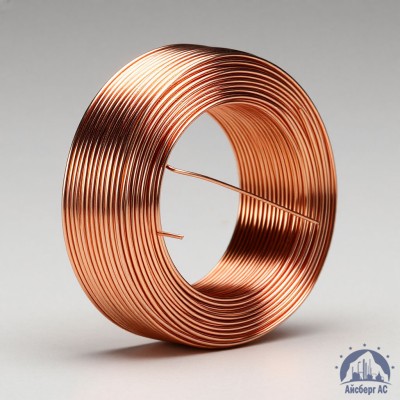 Проволока сварочная ДКРХМ 8 БТ М1 ГОСТ 16130-90 купить в Таразе