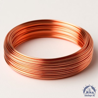 Проволока сварочная омедненная 1 мм Св08ГС ТУ 1227-017-00187240-2010 купить в Таразе