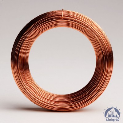 Проволока сварочная омедненная 1,2 мм 08Г2С ГОСТ 2246 купить в Таразе