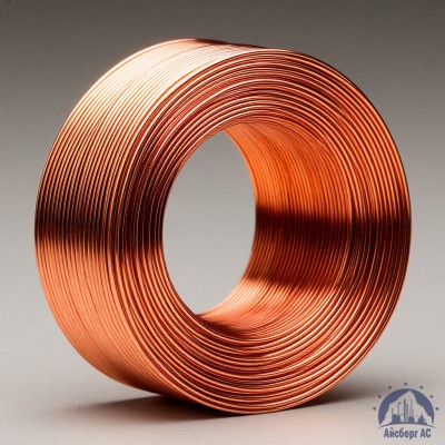 Проволока сварочная ДКРХМ 1,6 БТ МНЖКТ5-1-0,2-0,2 ГОСТ 16130-90 купить в Таразе