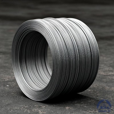 Проволока   1-П-1-20кп ГОСТ 5663-79 купить в Таразе