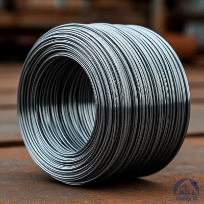 Проволока   1-П-2-10 ГОСТ 5663-79 купить в Таразе