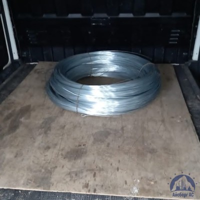 Проволока вязальная оцинкованная 0,7 мм О-1Ц ГОСТ 3282-74 купить в Таразе