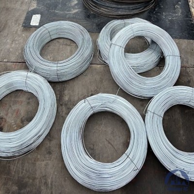 Проволока 0,3-Х15Н60 ГОСТ 8803-89 купить в Таразе