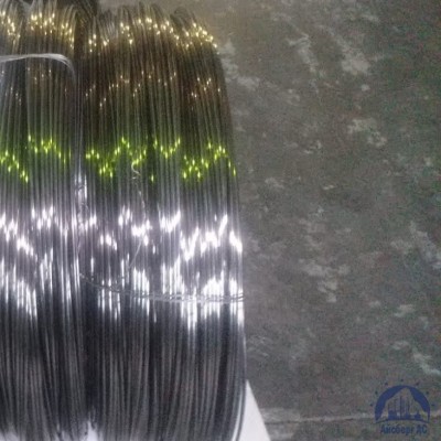 Проволока 0,34-Х15Н60 ГОСТ 8803-89 купить в Таразе