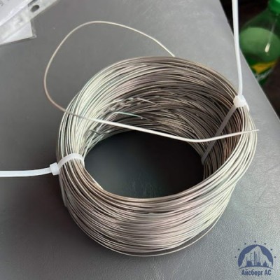 Проволока 0,25-Х15Н60 ГОСТ 8803-89 купить в Таразе