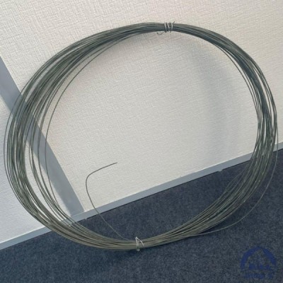 Проволока 0,36-Х20Н80 ГОСТ 8803-89 купить в Таразе