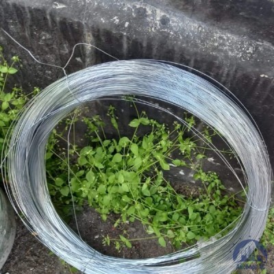 Проволока 0,34-Х20Н80-ВИ ГОСТ 8803-89 купить в Таразе